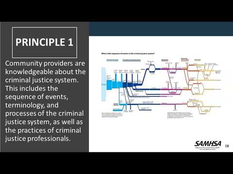 GAINS Webinar- SAMHSA’s Eight Guiding Principles for Behavioral Health and Criminal Justice