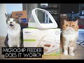 TESTING THE SUREFEED MICROCHIP PET FEEDER | SVEN &amp; ROBBIE