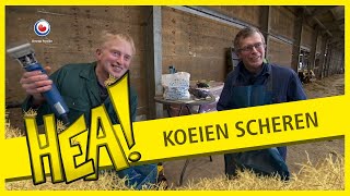 Gebroeders Douwes in het haar op Schier | HEA!