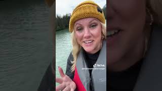 Chilkoot Lake bears, 2023