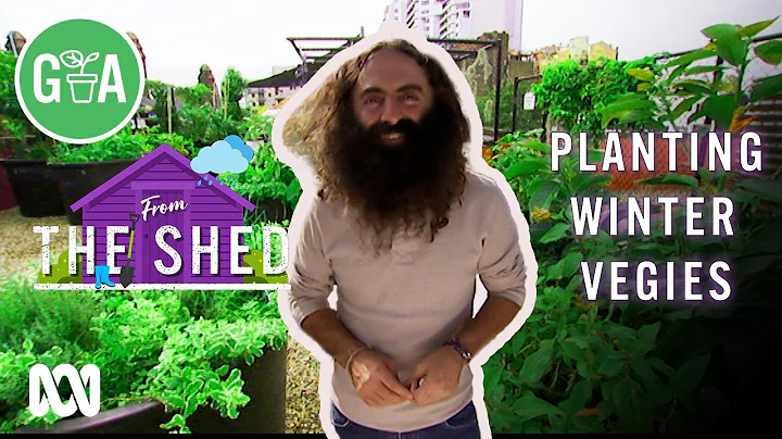 Planting Winter Vegies | From the Shed | Gardening Australia thumbnail