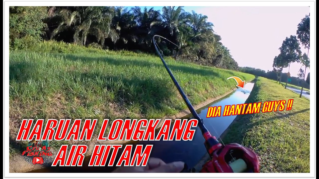 Casting Haruan | LONGKANG AIR HITAM TEPI HIGHWAY | EP.164