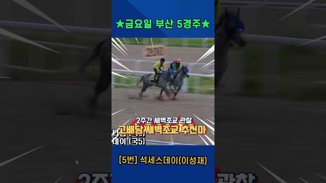 6월26일 금요일 부산 5경주!! 2주간 훈련보인 강백호의 새벽조교 쏘스마!!