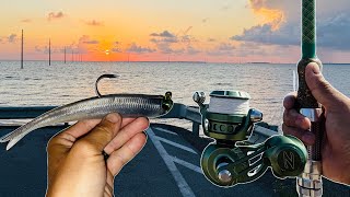 Inshore Bridge Fishing With NLBN Baits