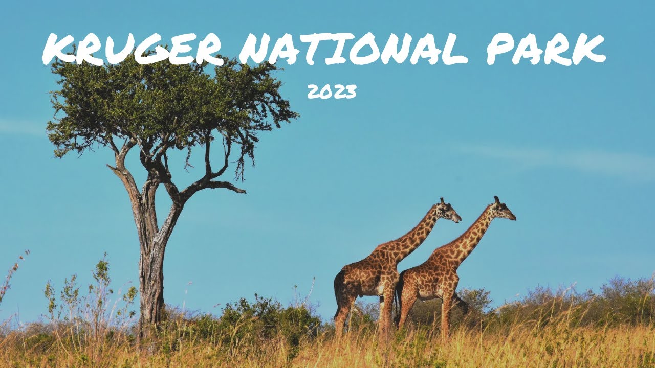 Kruger National Park, South Africa