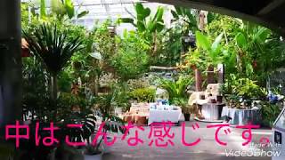 なかやまフラワーハウスで熱帯雨林気分を味わってみた！
