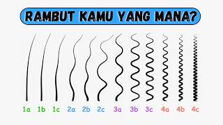 Semua Tipe Rambut Dijelaskan Dalam 6 Menit