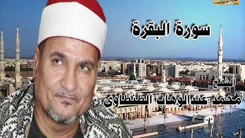 الشيخ محمد عبدالوهاب الطنطاوى  سورة البقرة
