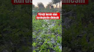 Yüreği Buruk Olan Kardeşlerim