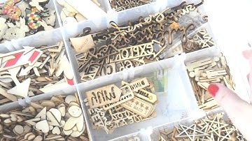 GUEST VOICEOVER! Mr Rad :) ~ RTX Jan ~ Project Life Process Video