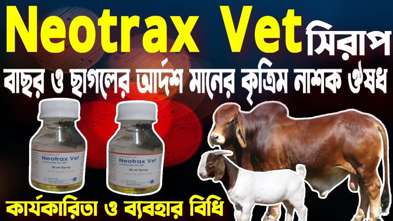 Neotrax Vet Syrup | বাছুর ও ছাগলের আর্দশ কৃমিনাশক সিরাপ | কাজ ও ব্যবহার ...