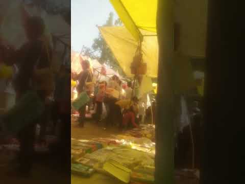 har har sambhu shiv mahadeva 🙏🏼🙏🏼#trending shorts #viral video #youtube shorts....