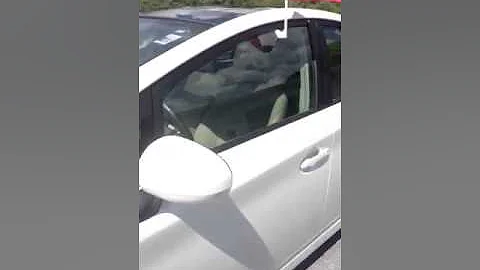 Amy Loper'a Prius
