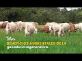 Beneficios ambientales de la ganadería regenerativa. - TvAgro por Juan Gonzalo Angel