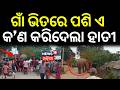 ଗାଁ ଭିତରେ ପଶି ଏ କ’ଣ କରିଦେଲା ହାତୀ | Tusker Terror in Deogarh | Wild Elephant | Odia News | Deogarh