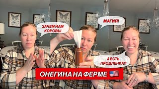 Онегина на ферме 🇺🇸 is live! #жизньвсша #ферма #лайфстайлблог #юмор