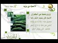 مشكاة النبوة برنامج أئمة الحديث قناة المجد للحديث النبوى 26 
