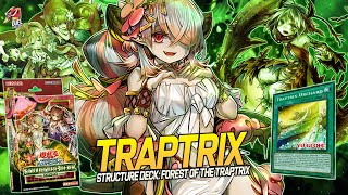 Traptrix Deck| Replays 🎮 + Decklist ✔️ | EDOPRO
