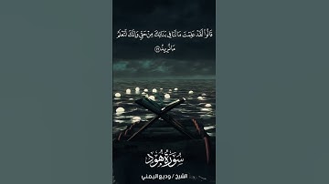 سورة هود | Hūd | آية 79 | الشيخ وديع اليمني
