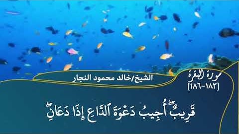 آيات الصيام | تلاوة من سورة البقرة [١٨٣-١٨٦]