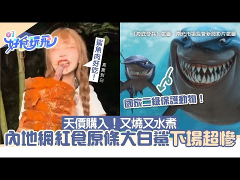 內地網紅拍片食原條大白鯊！直呼：鯊肉魚好吃　被捕後下場超慘