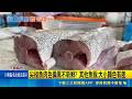 魚市買"尖梭魚"回家殺完喊退! 客稱肉質太黑  殺完魚質疑肉太黑.太便宜 魚販:不影響鮮度｜記者  陳俞安 廖國雄｜新聞一把抓20260521｜三立新聞台