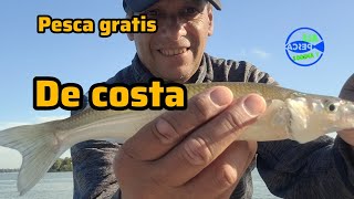 Pesca de Pejerrey  en Berisso 