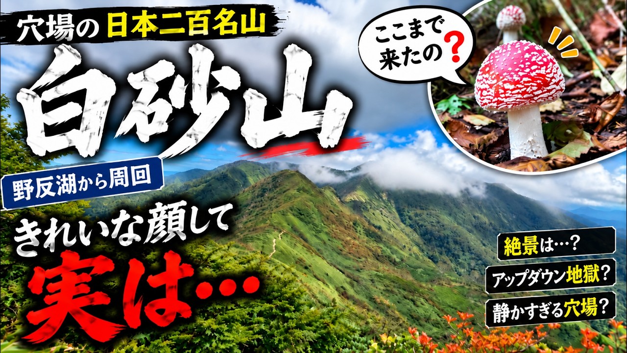 拓の山 The Trailhead Is Too Far! Hiking the Hidden Gem of Shirasunayama