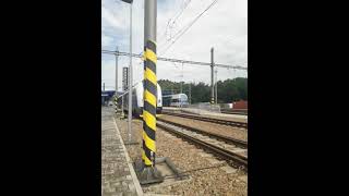 interpanter
