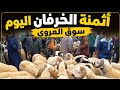 أثمنة الخرفان اليوم في السوق الأسبوعي بني وكيل العروي 