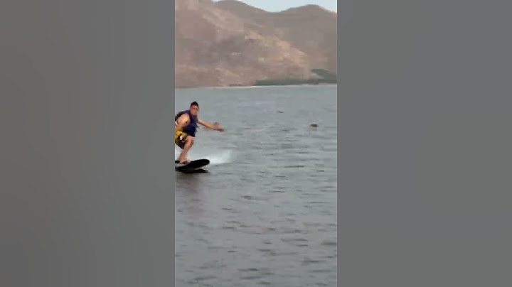 Electric Surf board/Motorized Surfboard Reviews