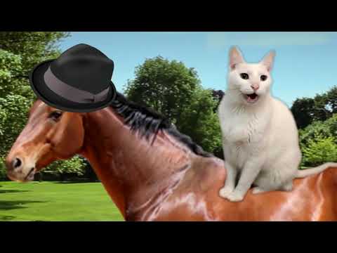 Cats Sing Yankee Doodle (Barney Theme Song) -  Cats Version