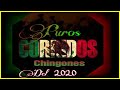 Puros Corridos Chingones - Mix 2020