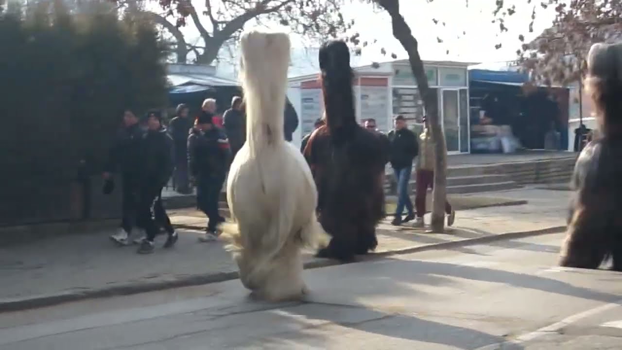 Сурва Струмско 14.01.2014 (1)