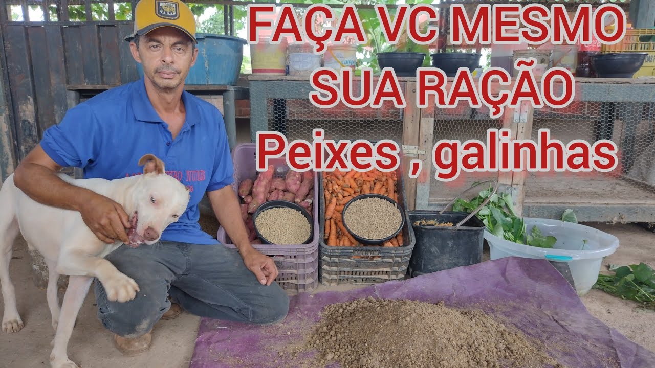 COMO FAZER RAÇÃO DE BAIXO CUSTO PARA ; PEIXES , GALINHAS , CACHORROS , PORCOS E OUTROS