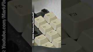 I Opened This 80s Computer… Full of Bugs 😬