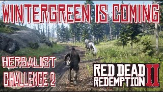 Wintergreen Berry Location Herbalist Challenge Red Dead Redemption 2