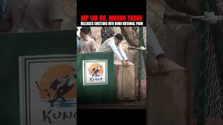 Madhya Pradesh Cm Dr Mohan Yadav Releases Two Female Cheetahs Into Kuno National Park