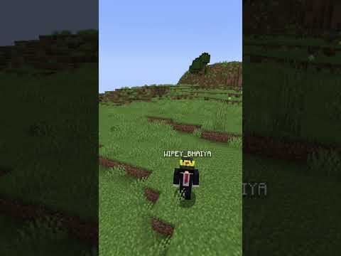 trying to do afk until I die. #afk #minecraft