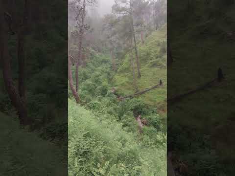 nature after rain