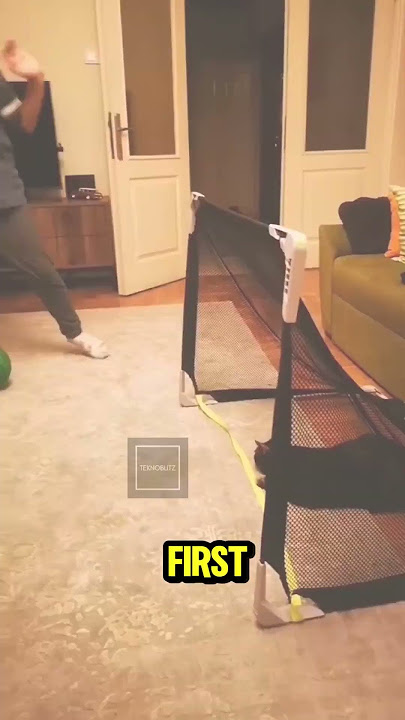 This cat’s quick reflexes