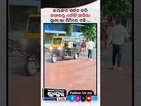 ଭୟଙ୍କର ଗର୍ଜନ କରି ଜଙ୍ଗଲରୁ ଦୌଡି ଆସିଲା ହାତୀ..  #ytshorts #shortsvideo #baleswar #husbandwife #elephant