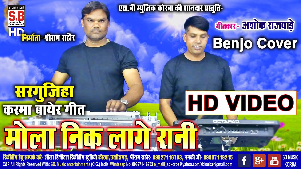 Mola Nik Lage Rani  Benjo Cover  Instrumental Music  Ashok Rajwade  Chhattisgarhi Geet  CG SONG