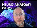 Multiple Sclerosis Vlog: Central Nervous System Anatomy Lecture