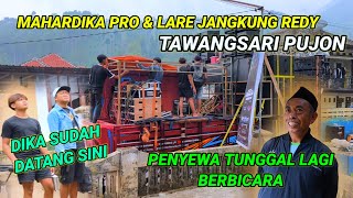 Mahardika pro & lare jangkung redy,dan di sewa penyewa tunggal lagi seperti dulu,dika poter ngawal 