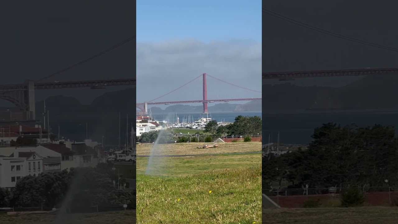 San Francisco, California city of champions and winners… it’s definitely hard to survive here…