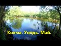 Рыбалка: Уводь, Кохма, Май.