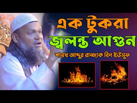 Eskirgan eshaklarning fotosuratlari