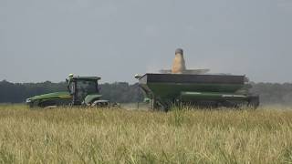 What lifting a restriction on red dye diesel could do