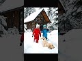 Golden Retriever Goes Crazy in the Snow #dogs #animals #shorts